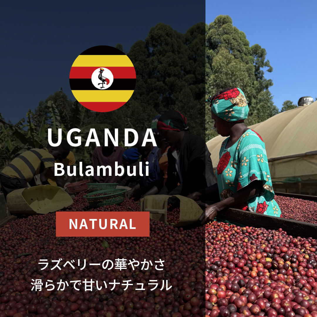ウガンダ | ORIGIN COUNTRIES for Small Batch Coffee（Small